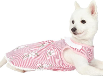 Blueberry Pet Wonderland Floral Sleeveless Dog Dress in Pink Stripe with Peter Pan Collar, Back Length 12", Pack of 1 Clothes for Dogs