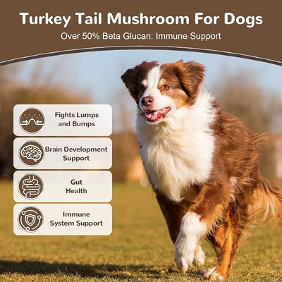 Turkey Tail Mushroom for Dogs, Organic 10 Mushroom Blend for Lumps and Bumps, Dog Herbal Supplements Probiotic with 50% β-Glucan, Joint Gut Immune Skin Support - 120g