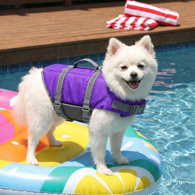Doglay Dog Life Jacket with Rescue Handle, Dog Life Vest for Swimming Boating, Adjustable Reflective Puppy Swim Vest with Superior Buoyancy for Small Medium Large Dogs