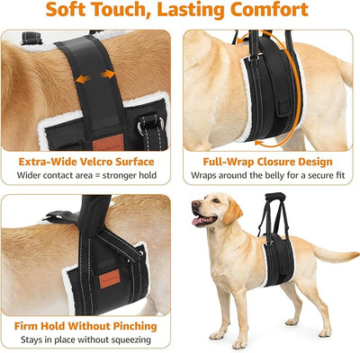 LOOBANI Dog Lift Harness for Back Legs, Portable Dog Sling for Large Dogs Hind Leg Support, Comfortable Leg Support Assistance for Elderly Dogs with Hip, ACL Brace, Senior, Injured
