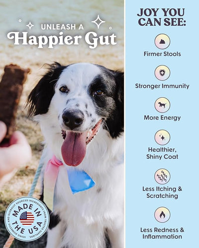 Bundle x Joy Dog Treats Jerky Snack Bars, Variety 3-5 oz Bags, Training Treats, Natural Superfood Grain Free, Real Salmon, Chicken, Beef, Superfoods, Corn & Soy Free