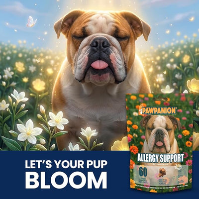 Allergy Soft Chews for Dogs Itchy Skin Relief 60 Count