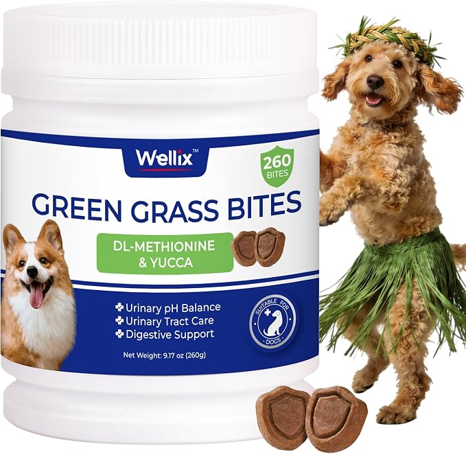 260 Bites Green Grass Bites for Dogs - Grass Savers for Dog Urine, Green Lawn Chews with Crabberry & Probiotic & Digestive Enzymes for Urinary Tract & Bladder - Chicken Flavor