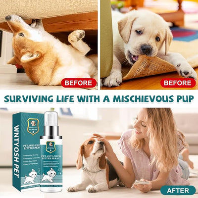 LIyun&Hang Enhanced Bitter Apple Spray for Dogs to Stop Chewing and Licking, No Chew Spray for Dogs, Stop Licking Wounds and Hot Spots, Protecting Furniture, Alcohol Free/Non-Toxic (Green) (Green)