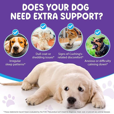 Melatonin for Dogs - Dog Melatonin for Calming and Anxiety, Liquid Sleep Aid Supplement, Deep Sleep for Dog