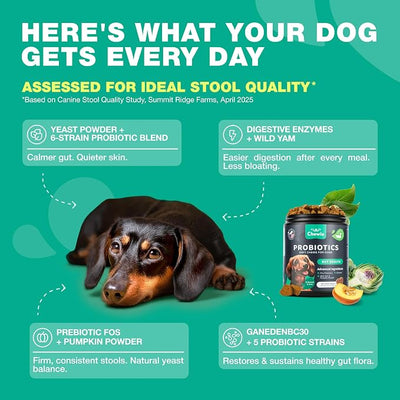 Probiotics for Dogs Gut Health, Digestion, Immunity, Yeast Balance, Itchy Skin, Allergies Support - Dog Probiotic Chews with Digestive Enzymes for Gut Flora- Soft Treats with Pumpkin and Yeast Powder