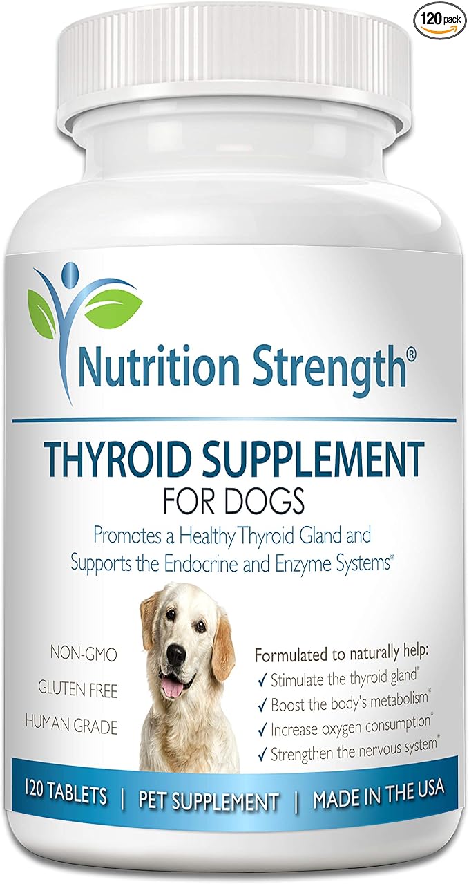 Thyroid Supplement for Dogs, Support for Hypothyroidism in Dogs with Organic Bladderwrack, Promotes Normal Function of Endocrine and Enzyme Systems, 120 Chewable Tablets