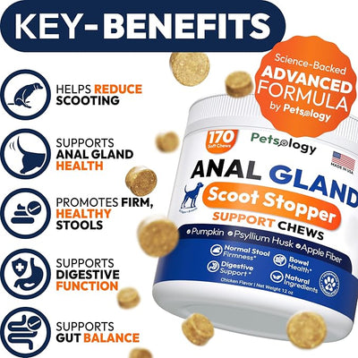 Anal Gland Support Chews for Dogs - 170 Ct - Scoot Treatment - Dog Anal Gland Supplement - Pumpkin, Psyllium Husk, Fiber - Supports Gut Health & Stool Quality - Digestive Enzymes - Made in USA