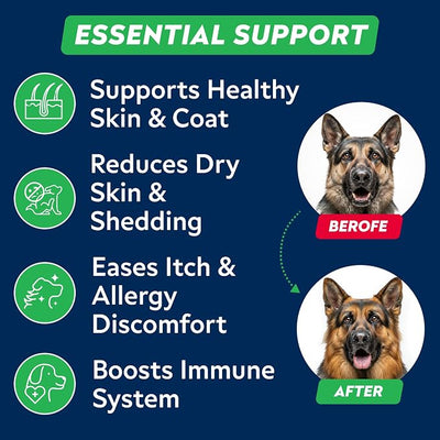 Fish Oil Omega 3 6 9 Chews for Dogs - Allergy and Itch Relief - Flea and Tick Chews for Dogs - Skin and Coat Supplement - Shedding, Itchy Skin Relief - 170Ct - Chicken Liver