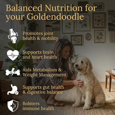 Multivitamins, Balanced Nutrition for Your Goldendoodle, 90 Count, Made in the USA with Real Bacon