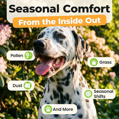 Better Dog Supplements by Cesar Millan® Allergy Balance, Dog Supplements for Dog Allergy, & Seasonal Comfort, Immune Support, Skin & Coat Health, Herbal, NASC Certified 4oz