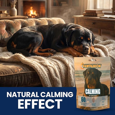 Calming Soft Chews for Dogs Anxiety Relief 60 Count