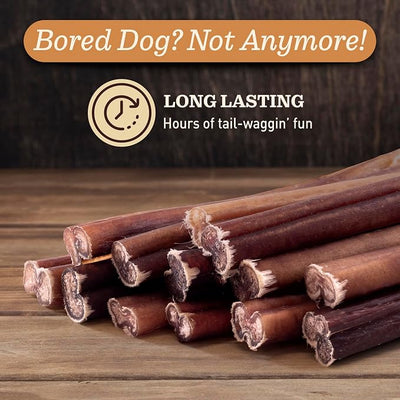 Pet Odor-Free Standard Bully Sticks (12", 5 Pack) – 100% Grass-Fed Beef Pizzle Dog Chews, Fully Digestible & Long-Lasting Dental Treats