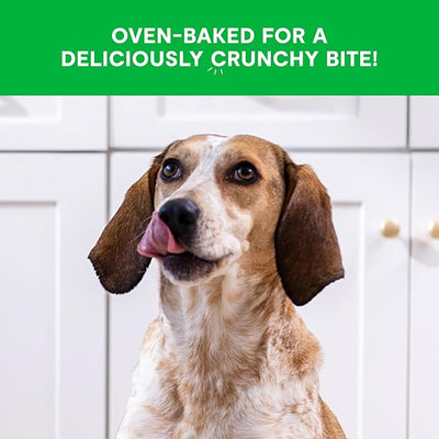 Open Farm Better Biscuits, Oven Baked Dog Treats with Probiotics, Peanut Butter & Banana Recipe, 8oz Pouch