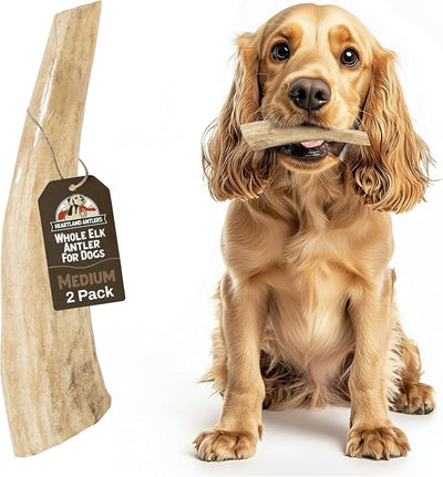 Heartland Elk Antlers for Dogs - Daily Dental Care Chews for Aggressive Chewers to Reduce Plaque & Prevent Destructive Behavior (Splinter Free, Whole, 5", Medium, 2-Pack, Grade A, USA Made)