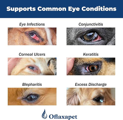 Dog Eye Drops | Dog Eye Infection Treatment | Flush Irritants & Reduce Redness, Watering & Discharge | Sterile Solution with Easy | Apply Dropper for Daily Use | 0.68 fl oz (20 mL)
