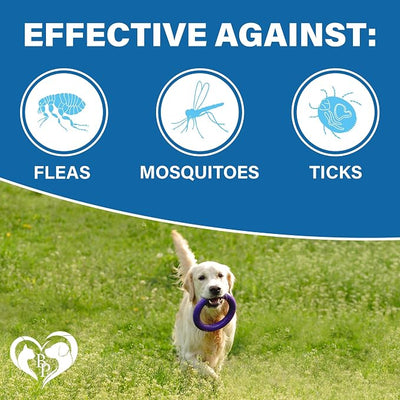 Flea and Tick Prevention Chewable Pills for Dogs and Cats - Revolution Oral Flea Treatment for Pets - Pest Control & Natural Defense - Chewables Small Tablets Made in USA (Beef)