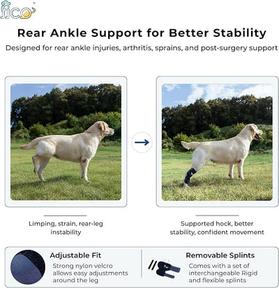 Dog Hock Brace for Ankle Support & Arthritis, Vet Approved Dog Back Leg Brace, Adjustable with Removable Splints, Orthopedic Support for Injuries, Sprains & Post-Surgery Recovery (X Small)