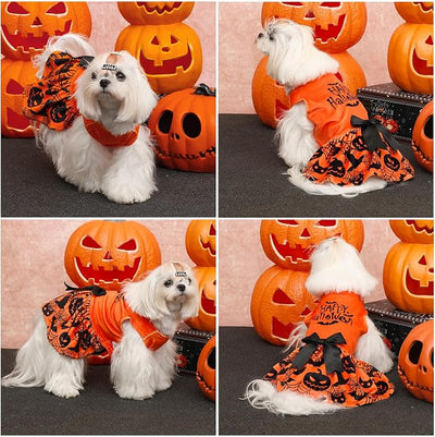 CuteBone Halloween Dog Dresses Velvet Holiday Small Dogs Clothes Onesie Pet Apparel Girl Puppy Skirt with Bow Hair Rope