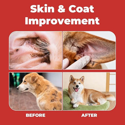 Mange Treatment Cats and Dogs - Natural Dog Itching Relief - Relieves Itchy, Scaly, Dry Skin, Welts & Scabs - Skin & Coat Comfort Powder for Itchy or Irritated Skin - 2.12 oz (60 g)