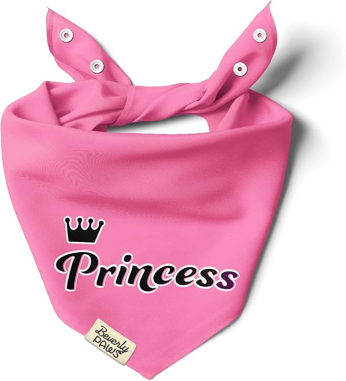 Funny Snap-On Dog Bandana for Small Medium Large Pets, Dogs Cats Adjustable Handkerchief Scarf for Girl & Boy, Cute Puppy Apparel & Accessories (Princess, X-Large)