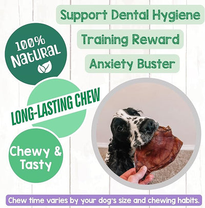 Nature Gnaws Pig Ears for Dogs (8 Count) - Thick Long Lasting for Aggressive Chewers and Large Dogs - Natural Pork Dog Chew Bones - Rawhide Free