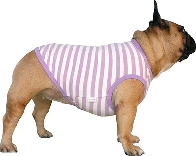 iChoue English Bulldog 100% Breathable Cotton Striped T Shirts Halloween Vest Clothes for Medium Dogs Tank Tops French Frenchie Pug Boston Terrier Pitbull Purple White Stripes - XLarge