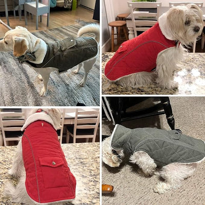 Malier Dog Winter Coat, Windproof Dog Cold Weather Coats with Real Pocket, Winter Extra Warm Pet Coat Fleece Jacket Reflective Clothes for Small Medium Large Dogs and Puppy (Green, Medium)