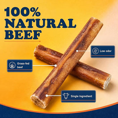 Bow Wow Labs SafeFit™ Bully Sticks for Dogs - 100% All Natural Beef Sticks, Grass-Fed, Low Odor, Long Lasting Dog Chews, Dog Chew Treats, Bully Stick for Small, Medium, Large Dogs - 6" Thick 10 Pack