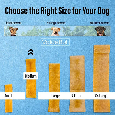ValueBull Himalayan Yak Cheese Dog Chews, Medium, 25 ct Bulk Pack - Long Lasting for Aggressive Chewers, All Natural, Healthy & Safe, Low Odor Nepal Yak Milk Chews