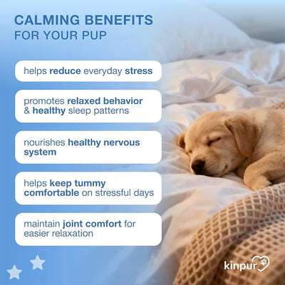 Hemp Dog Chews with Melatonin – Beef Flavor Soft Chews for Daily Use, Travel & Nighttime Routine – Dog Treats for Separation, Fireworks, Thunderstorms & Vet Visits – 120 Soft Chews