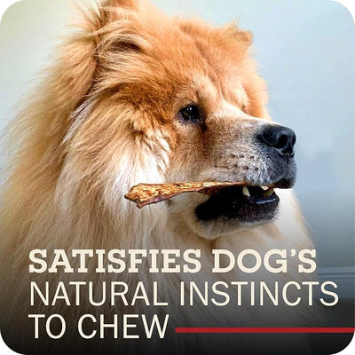 Redbarn Pet Products All-Natural Rawhide Bully Slices - Bully Stick Flavor - Premium Grain-Free Beef Hide Treats High Protein Low Fat for Chewers - 9 oz Bag (Pack of 3)