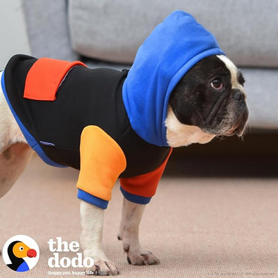 The Dodo Dog Hoodie, Black Colorblock, Size Medium; Everyday Apparel for Dogs, Cute Dog Sweatshirt, Cute Clothes