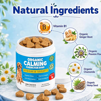 Calming Chews for Dogs, Dog Calming Treats with Melatonin, Stress & Anxiety Relief, Relaxation Aid for Travel, Vet Visits, Fireworks, Storms & Separation, Duck Flavor, 200 Soft Chews