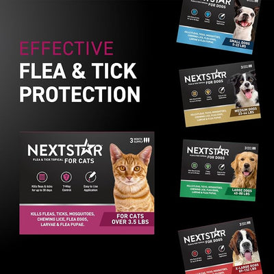 NEXTSTAR Flea and Tick Prevention for Cats, Repellent and Control, Fast Acting Waterproof Topical Drops, Flea Prevention for Cats Over 3.5 lbs, 6 Monthly Doses