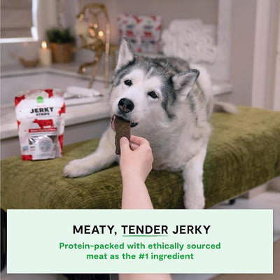 Open Farm, Dog Jerky Treats, Soft & Chewy Oven-Baked Jerky Strips Made with Ethically & Sustainably Sourced Ingredients, Protein Packed Dog Treats, Grain-Free Grass-Fed Beef Recipe, 5.6oz Pouch