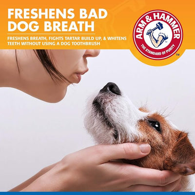 Arm & Hammer for Pets Tartar Control Dental Spray for Dogs Mint Flavor Baking Soda Brushless Reduces Plaque and Tartar Freshens Breath Plaque and Tartar Buildup Daily Use 4 FL OZ 24 Pack