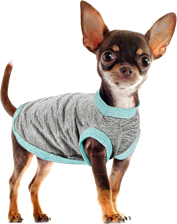 Chic Ion Polyester Dog Vest: Adorable Fashion Apparel for Small, Medium, and Large Breeds, Moisture-Wicking, Soft, Anti-Static, Durable, and Easy-to-Clean Design - Grey 3XL