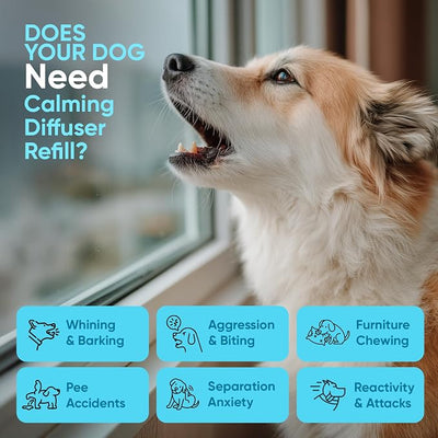 STUNICK CB1 Dog Calming Diffuser, Calming Pheromones, 60 Day Supply, 3 Diffuser and 6 Refills, Helps Reduce Stress, Separation, Pee Accidents, Barking, & Destructive Behaviors
