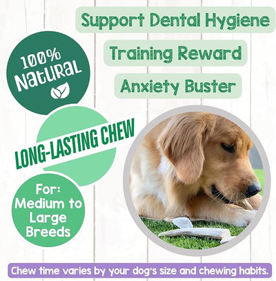 Nature Gnaws Antlers for Dogs (8oz) - Mix of Elk and Deer Antler - Variety of Split and Whole Pieces - Long Lasting for Aggressive Chewers and Large Dogs