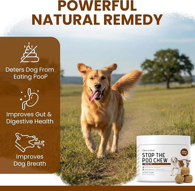 No Poo Chews for Dogs 240 Soft Chews, Chicken Flavor Chew No Poo Bites -Dog Coprophagia Treatment, Deterrent to Stop Eating Poop -Treats Bad Breath and Boosts Gut Health -Made in USA (2 Packs of 120)