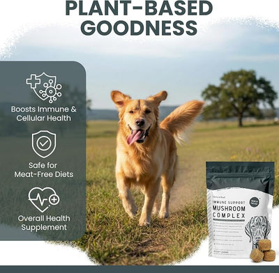 Mushroom Supplement for Dogs with Organic Turkey Tail, Shiitake, Reishi, Colostrum, and Fish Oil - Immune Support Mushroom Complex, 90 Soft Chews - Made in the USA