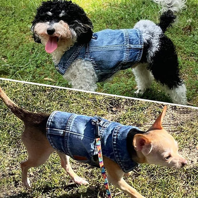 Dog Jean Jacket, Blue Denim Shirt Classic Lapel Vest Coat Costume Puppy T-Shirt, Comfort Tank Top Cool Apparel, Washed Pet Clothes for Dogs Boy Girl (with D-Ring, Small)
