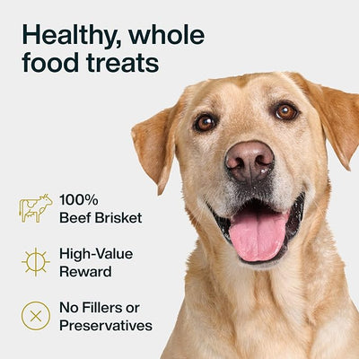 JustFoodForDogs Single Ingredient Healthy Dog Treats and Dog Snacks, Jerky Treats, Human Grade, Preservative and Grain Free, Rawhide Free Chews, Low Calorie Treat - Beef Brisket, 5 oz