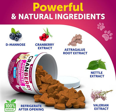 2 Pack (240 Chews Total) Dog UT Treats - Cranberry Chews for Dogs - Urinary Tract & Bladder Support Supplement with Natural Cranberry Extract - Tasty Soft Bites with Fish Oil, Pumpkin, D-Mannose