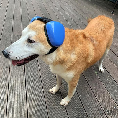 derYEP Dog Earmuffs for Hearing Protection 29dB NRR Ear Muffs Noise Protection (Large, Blue)