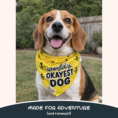 Funny Snap-On Dog Bandana for Small Medium Large Pets, Dogs Cats Adjustable Handkerchief Scarf for Girl & Boy, Cute Puppy Apparel & Accessories (World's Okayest Dog, X-Large)