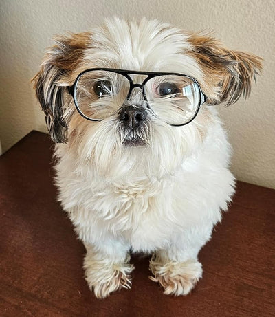 G002 Dog Pet Clear Lens Costume Glasses Small to Medium Breeds 12LBS~30LBS Prop Photoshoot Sunglasses (Aviator Black-Clear)