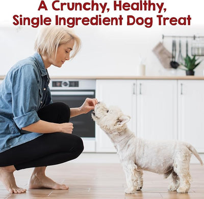 Riley's Waffles Chicken Chips for Dogs - USA Sourced 100% Chicken Breast - Dehydrated and Lean Jerky Treats - Single Ingredient Dog Treat - 6oz
