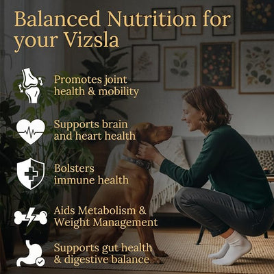 Vizsla Multivitamins, 90 Count, Made in the USA with Real Bacon.